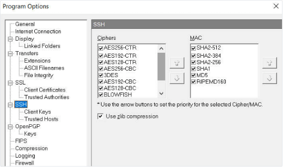screenshot of WS_FTP Professional